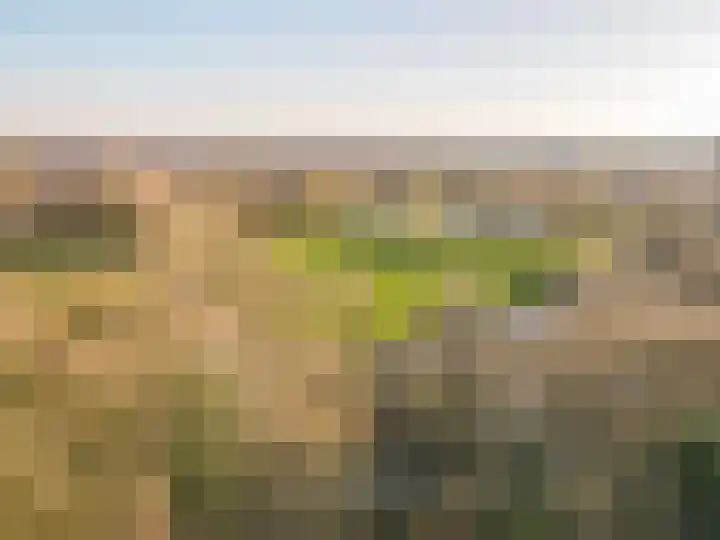 Archipel 16 16 31 Lelystad thumbnail 68