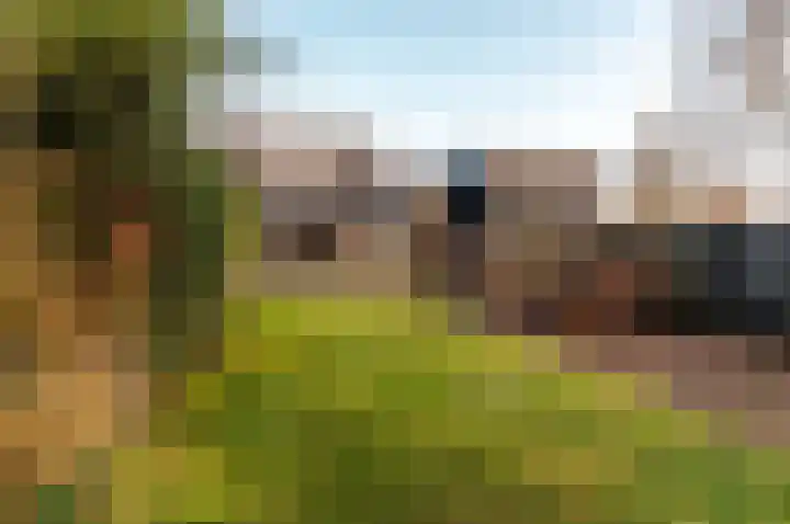 Archipel 16 31 Lelystad thumbnail 58
