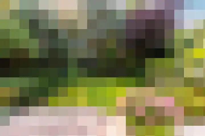 Archipel 17 1 Lelystad thumbnail 41