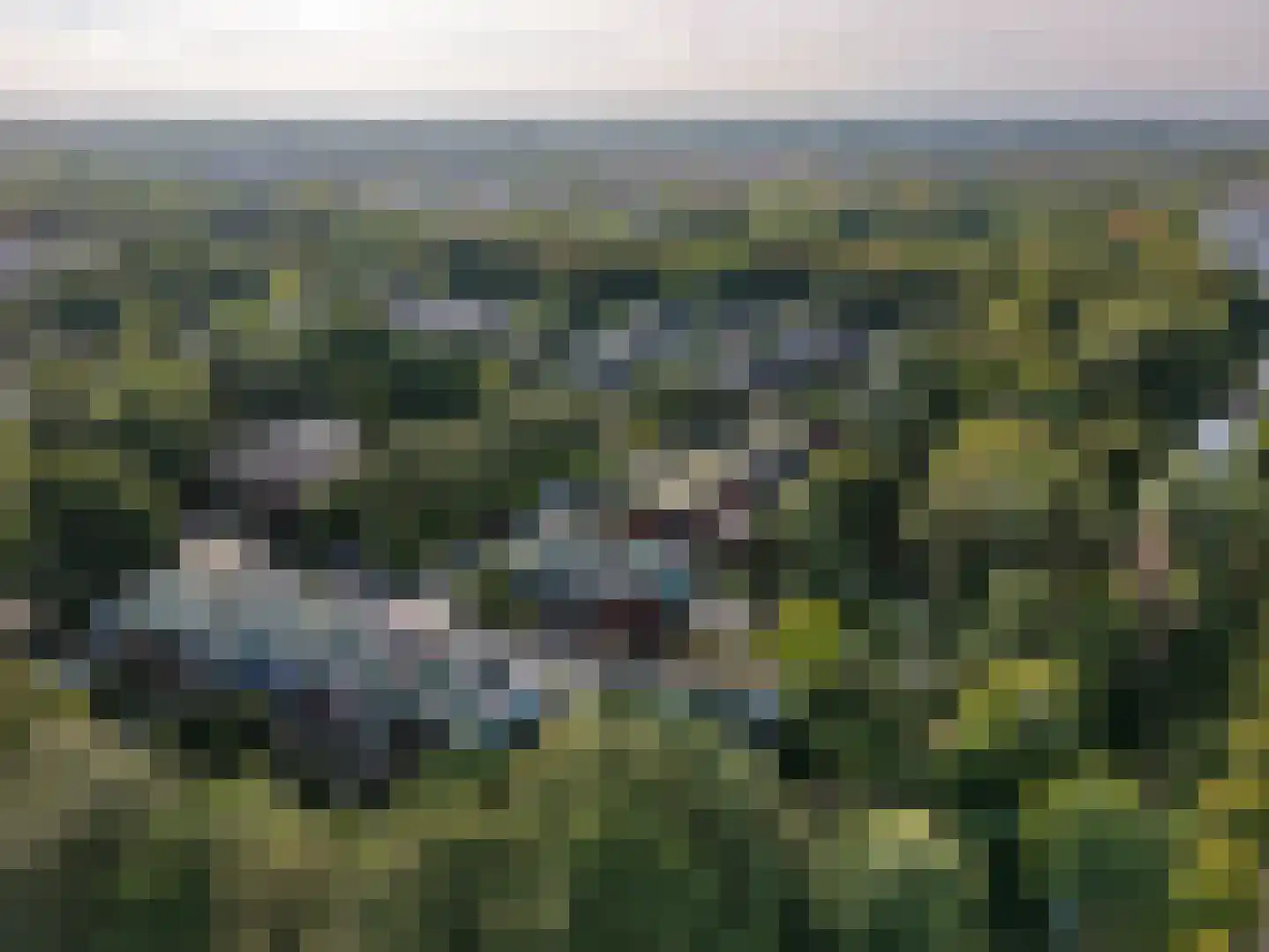 Archipel 17 23 Lelystad thumbnail 45