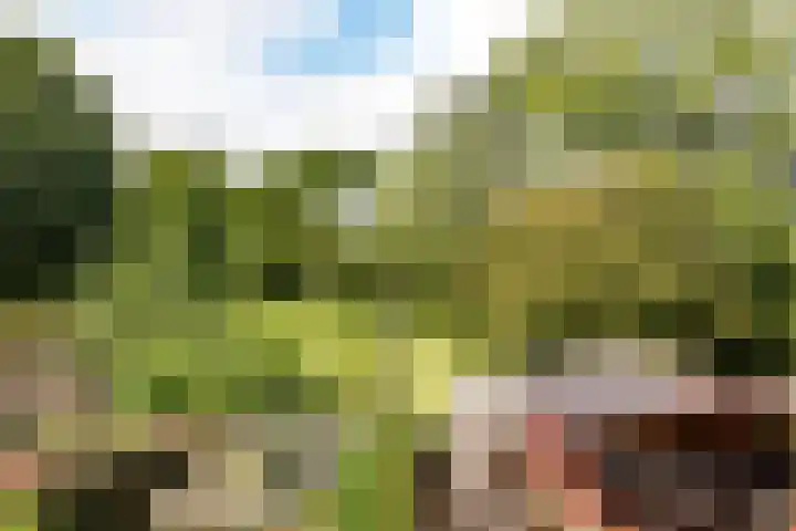 Archipel 22 22 72 Lelystad thumbnail 12
