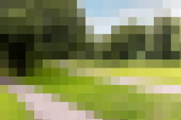 Archipel 22 22 72 Lelystad thumbnail 25