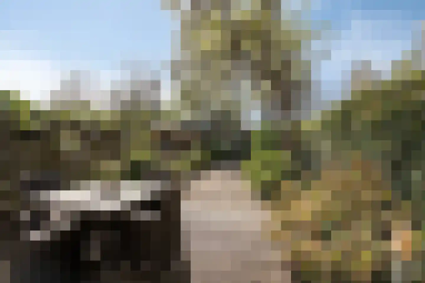 Archipel 22 54 Lelystad thumbnail 33