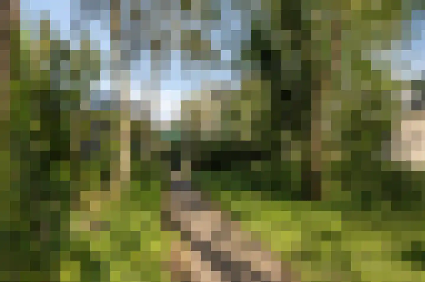 Archipel 22 54 Lelystad thumbnail 39