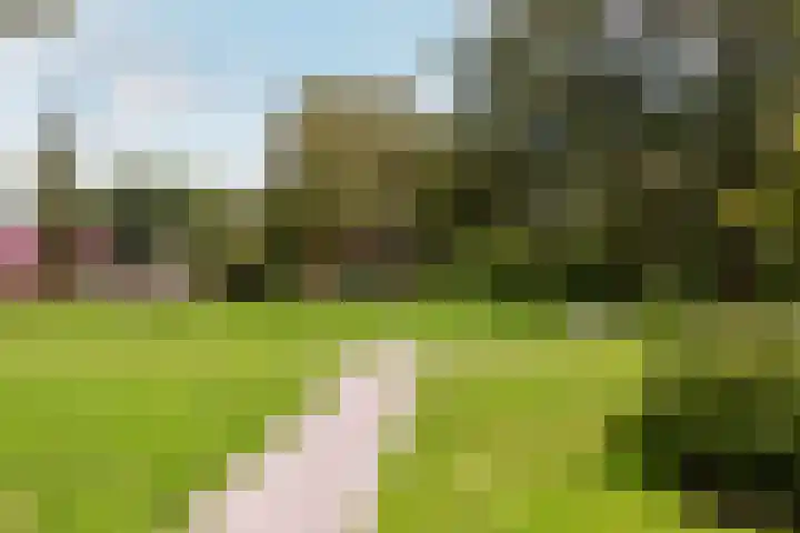 Archipel 22 72 Lelystad thumbnail 24