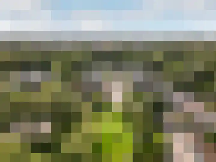 Archipel 22 72 Lelystad thumbnail 32