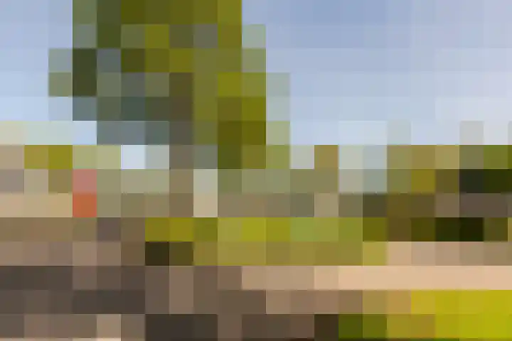 Archipel 23 23 31 Lelystad thumbnail 25