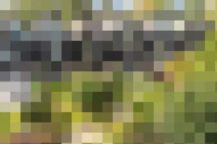 Archipel 23 37 Lelystad thumbnail 34