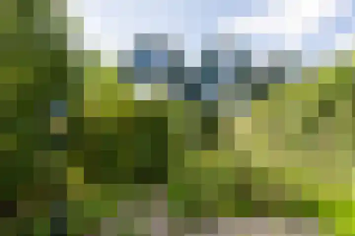 Archipel 23 37 Lelystad thumbnail 35