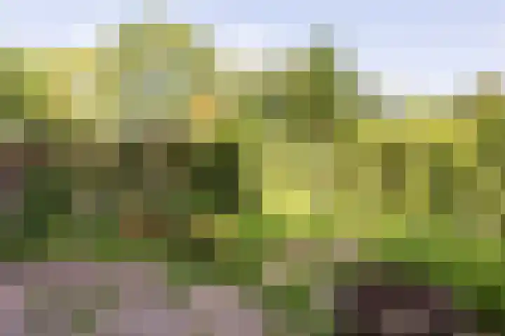 Archipel 23 37 Lelystad thumbnail 36