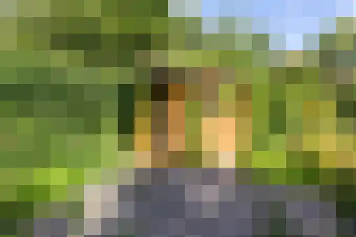 Archipel 23 37 Lelystad thumbnail 37