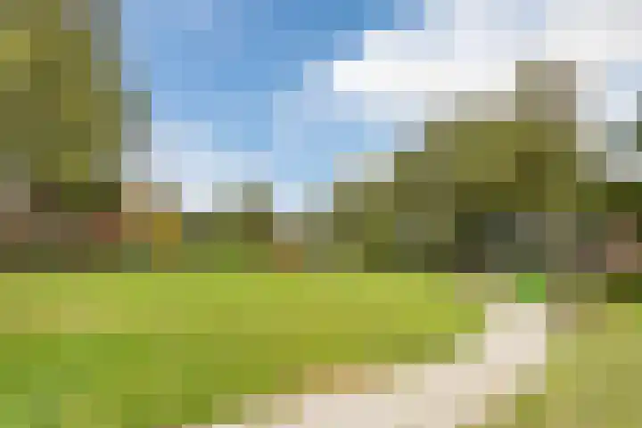 Archipel 23 37 Lelystad thumbnail 39