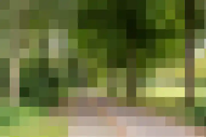 Archipel 23 37 Lelystad thumbnail 40