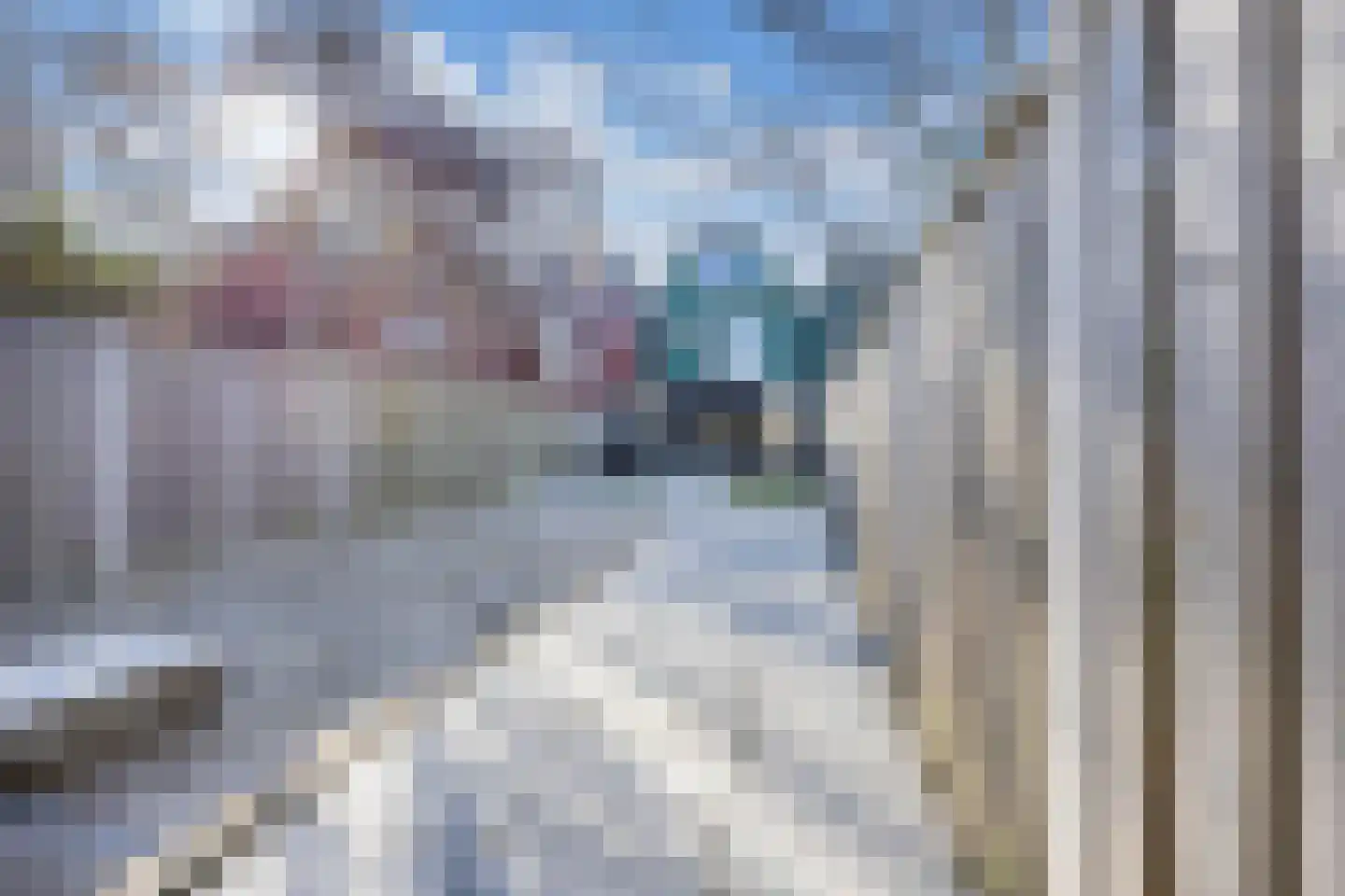 Archipel 25 25 53 Lelystad thumbnail 29