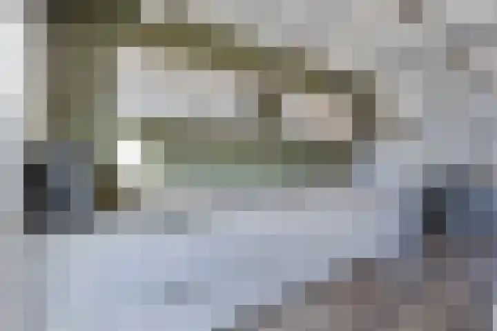 Archipel 25 25 53 Lelystad thumbnail 9