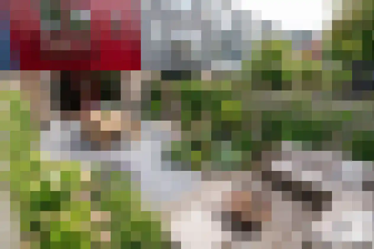 Archipel 30 26 Lelystad thumbnail 44