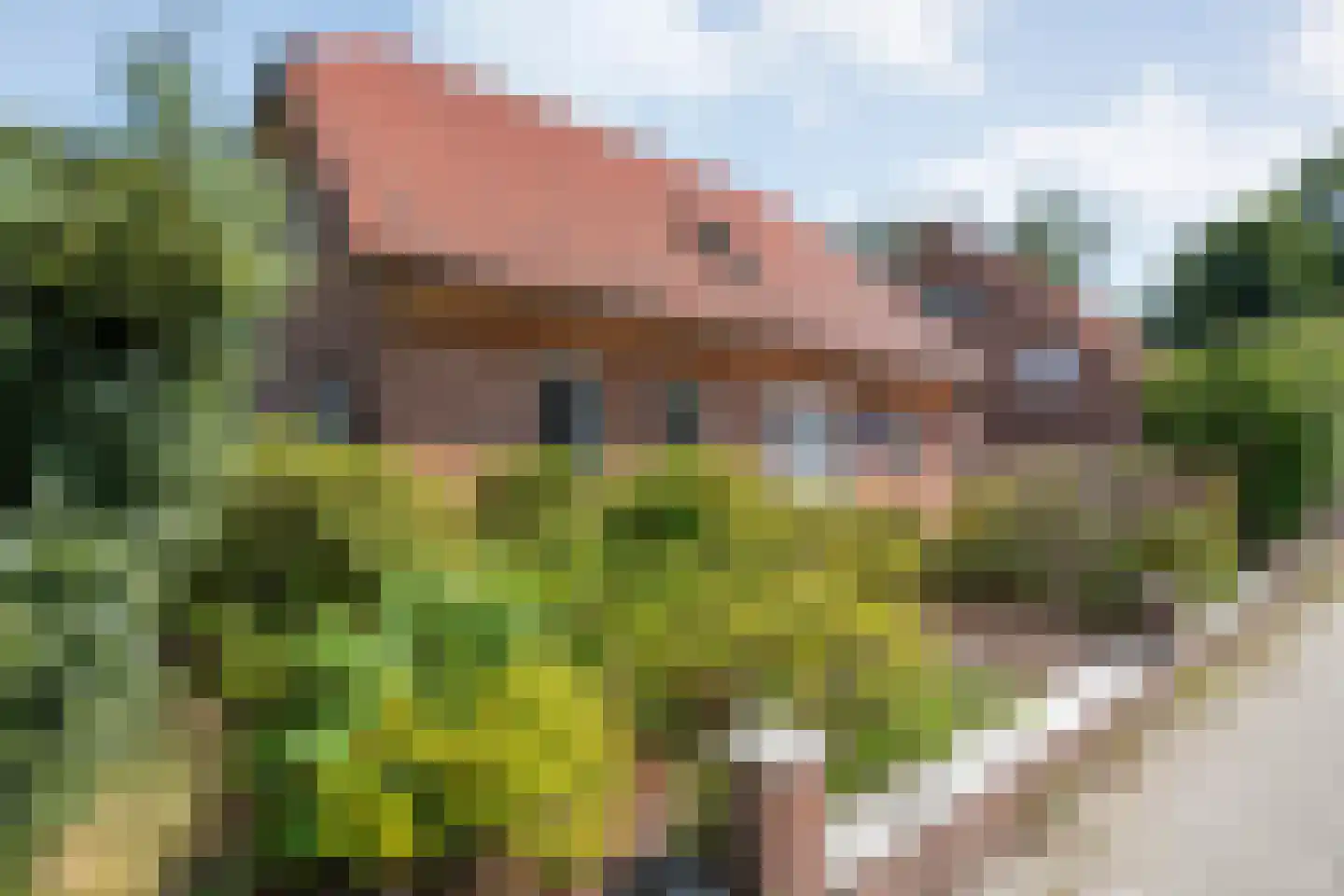 Archipel 30 30 Lelystad thumbnail 8