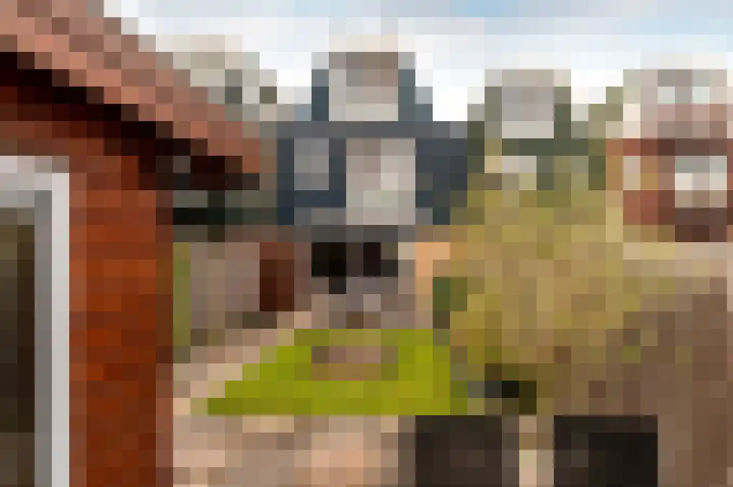 Archipel 35 35 31 Lelystad thumbnail 42