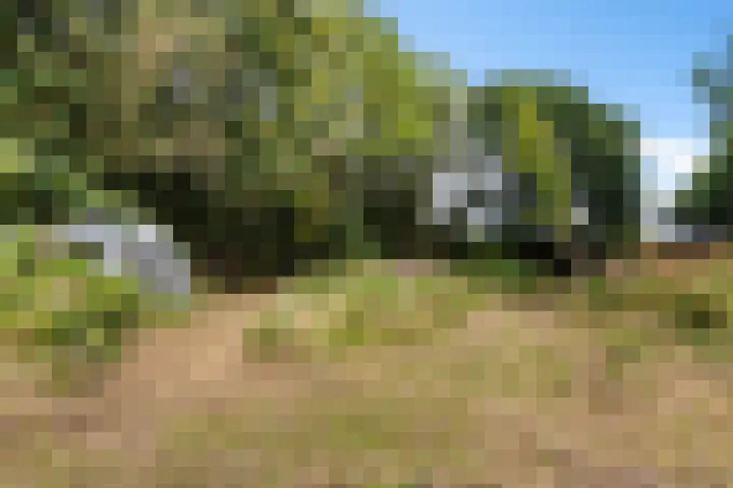 Archipel 35 35 Lelystad thumbnail 14