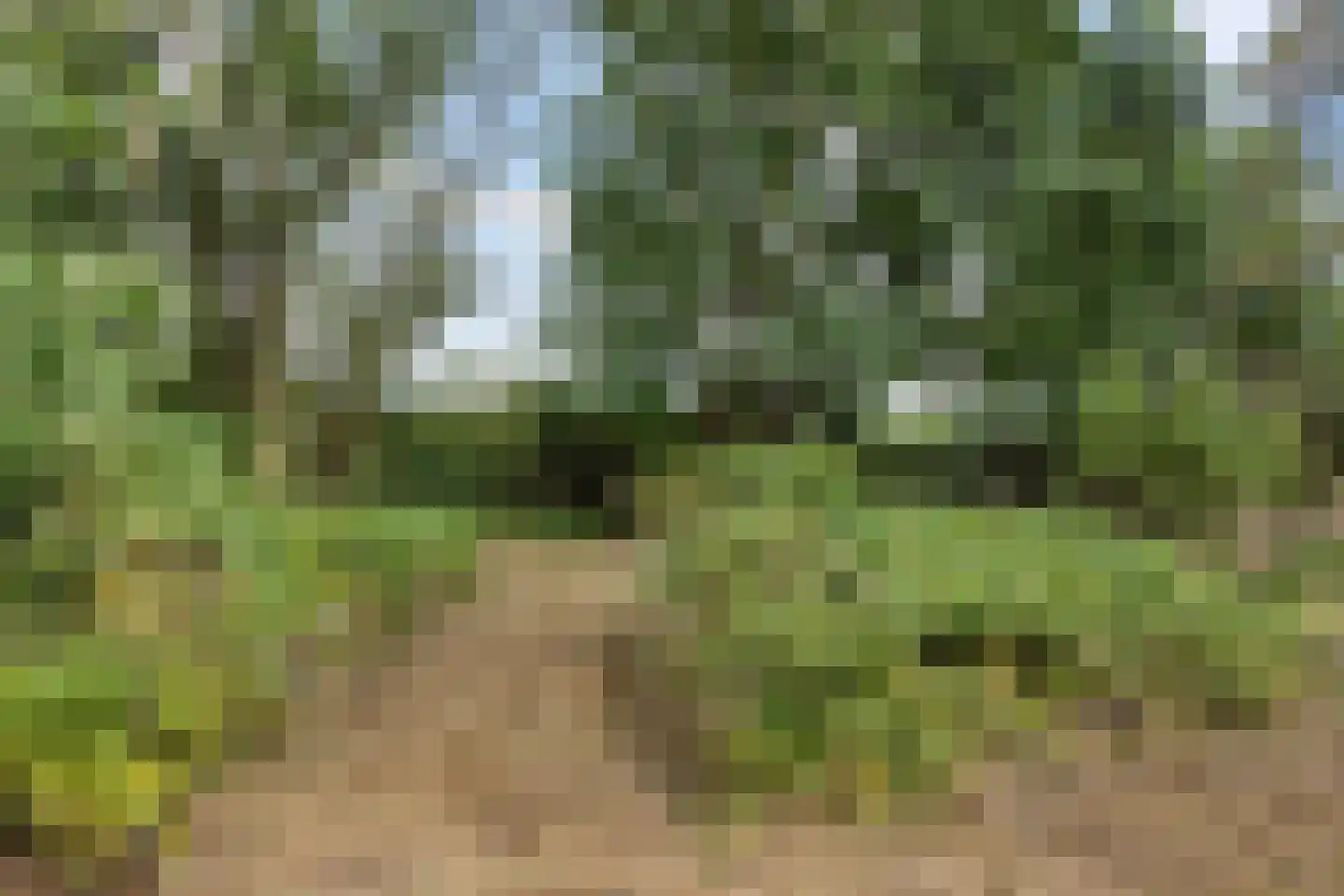 Archipel 35 35 Lelystad thumbnail 15