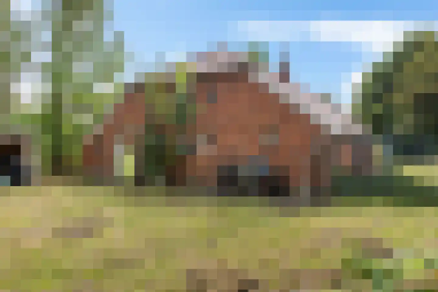 Archipel 35 35 Lelystad thumbnail 19