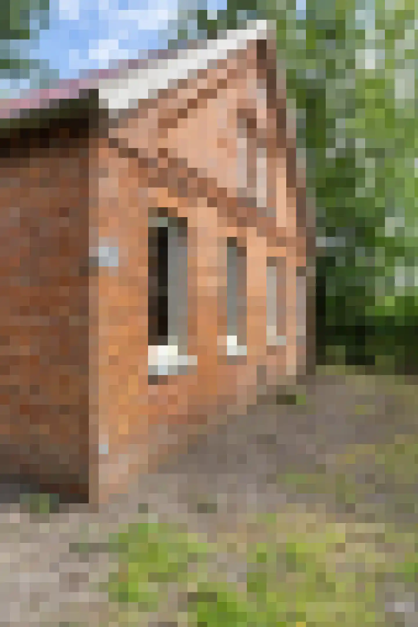 Archipel 35 35 Lelystad thumbnail 22