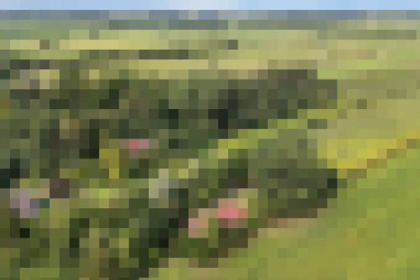 Archipel 35 35 Lelystad thumbnail 4