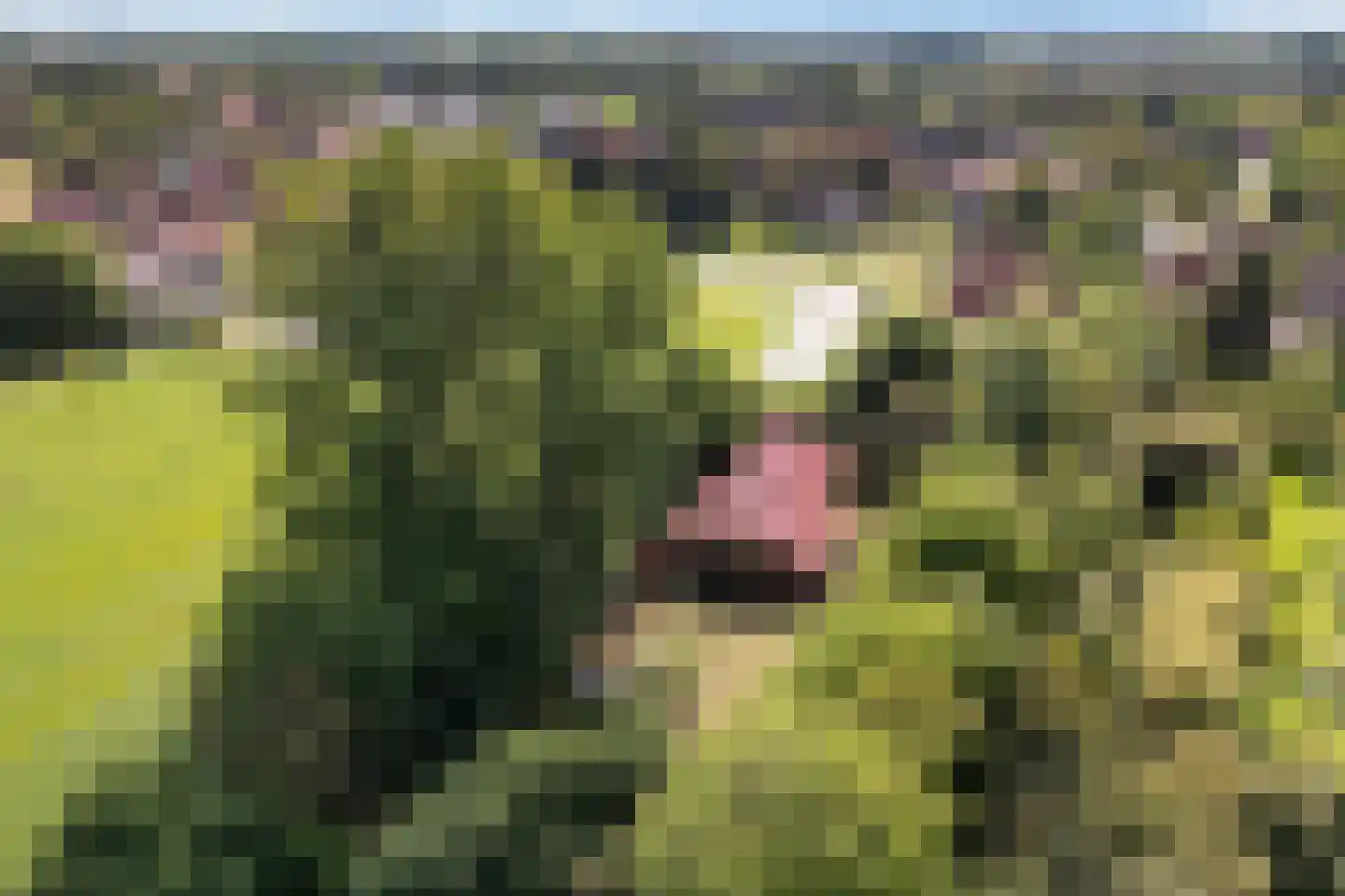 Archipel 35 35 Lelystad thumbnail 8
