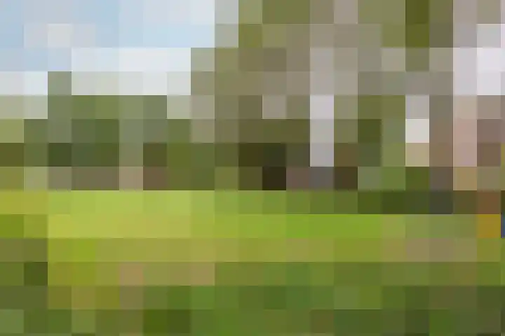 Archipel 37 21 Lelystad thumbnail 41