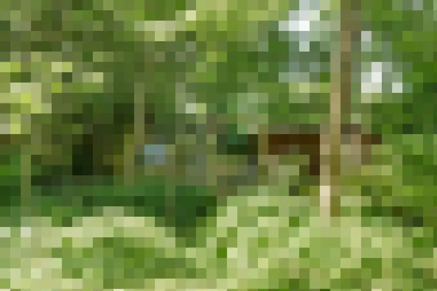 Archipel 37 28 Lelystad thumbnail 37