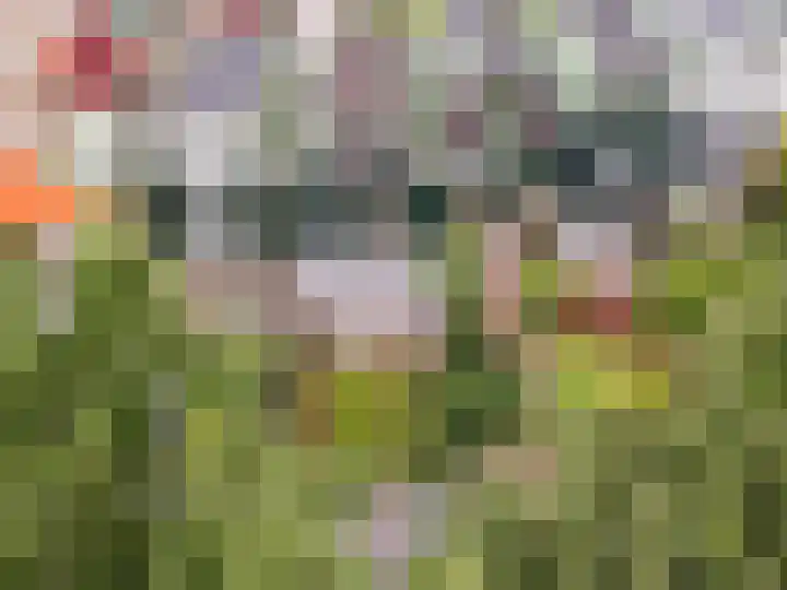 Archipel 37 37 21 Lelystad thumbnail 34