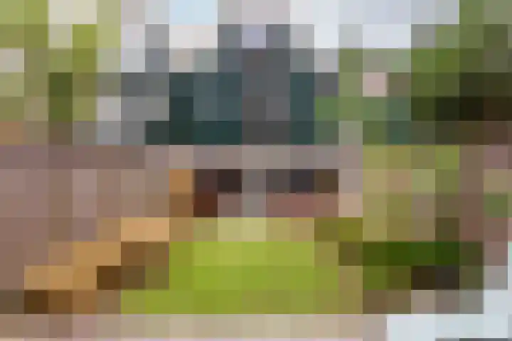 Archipel 37 37 21 Lelystad thumbnail 5