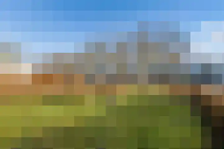 Archipel 37 37 22 Lelystad thumbnail 34