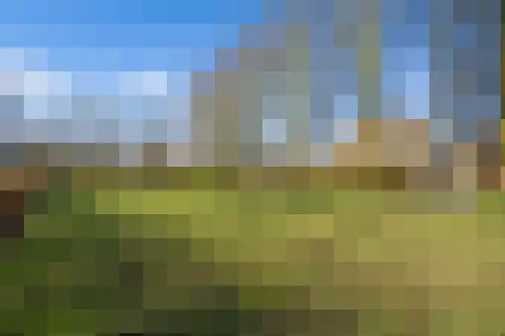 Archipel 37 37 22 Lelystad thumbnail 35