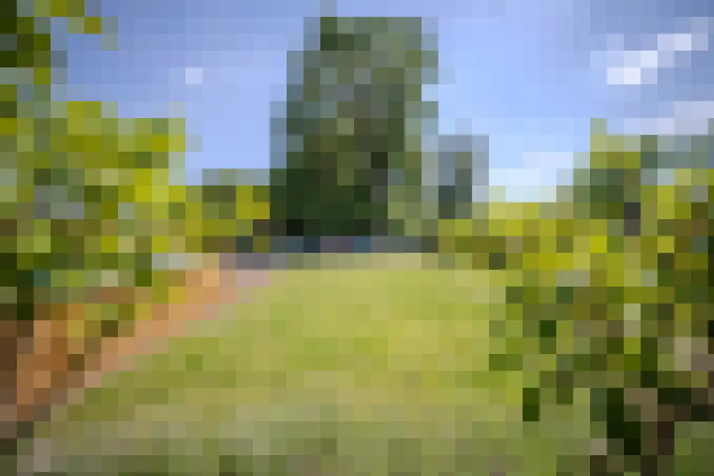 Archipel 38 38 Lelystad thumbnail 12