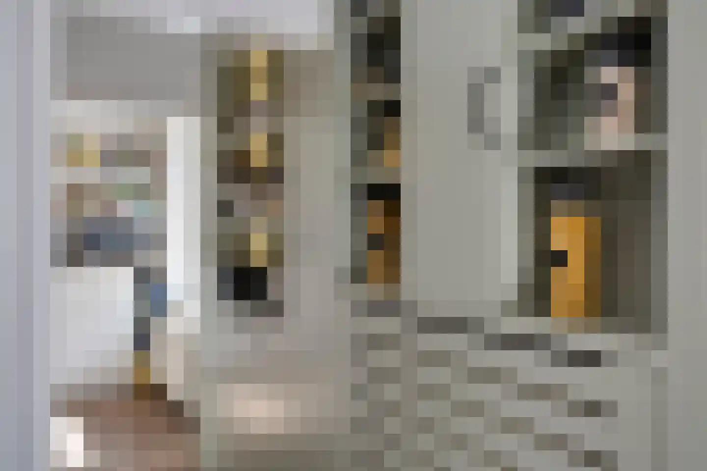 Archipel 40 40 Lelystad thumbnail 14