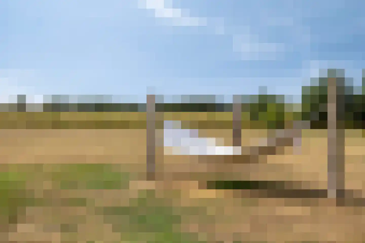 Archipel 40 40 Lelystad thumbnail 50