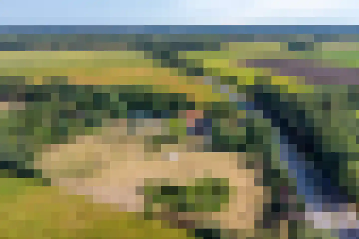Archipel 40 40 Lelystad thumbnail 53