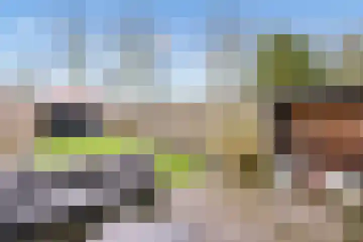Archipel 41 21 Lelystad thumbnail 32