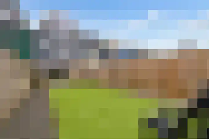 Archipel 41 21 Lelystad thumbnail 33