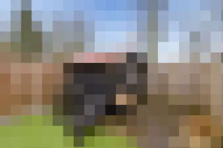 Archipel 41 21 Lelystad thumbnail 36