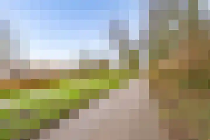 Archipel 41 21 Lelystad thumbnail 39