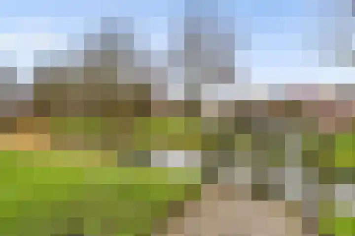 Archipel 41 21 Lelystad thumbnail 40