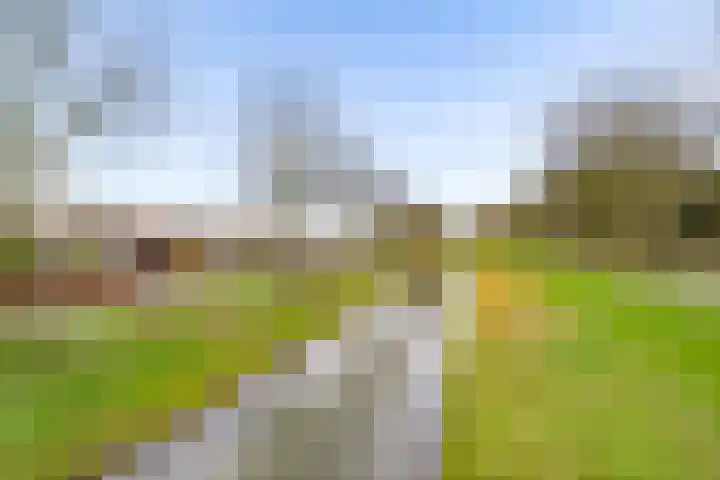 Archipel 41 21 Lelystad thumbnail 41
