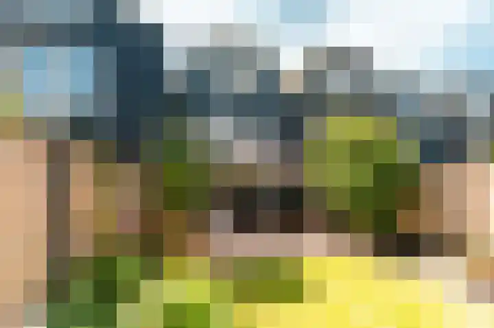 Archipel 44 44 15 Lelystad thumbnail 34