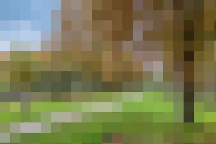 Archipel 44 44 8 Lelystad thumbnail 33