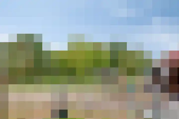Archipel 44 8 Lelystad thumbnail 32