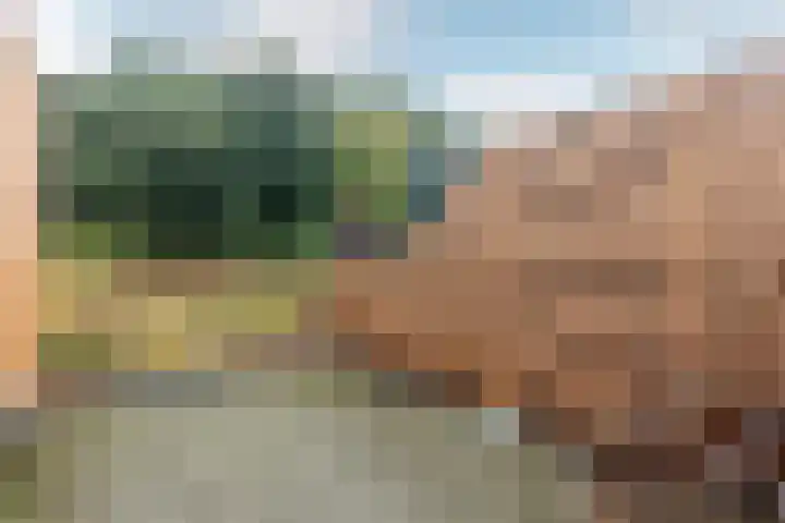 Archipel 45 45 67 Lelystad thumbnail 29