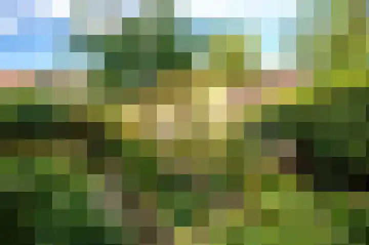Archipel 45 45 67 Lelystad thumbnail 30