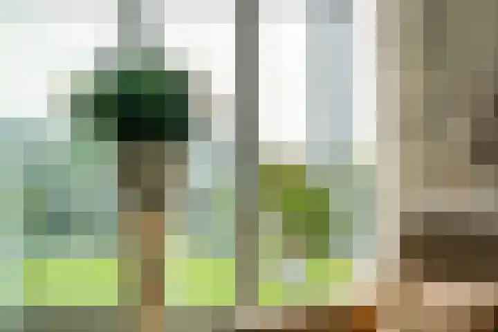 Archipel 45 45 67 Lelystad thumbnail 31